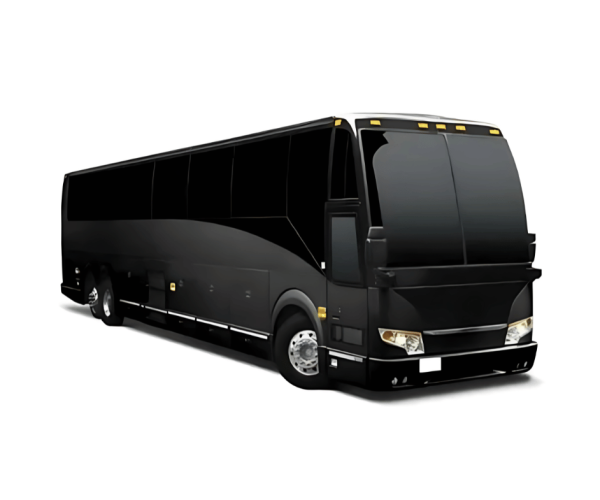 Standard Coach Bus